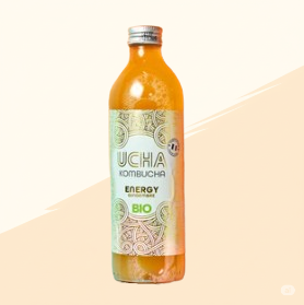 Kombucha gingembre image